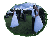 The Wedding