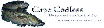 Cape Codless
