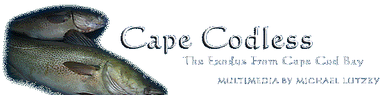 Cape Codless