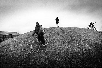 © Tim Fadek