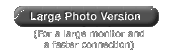 Large Photo Version